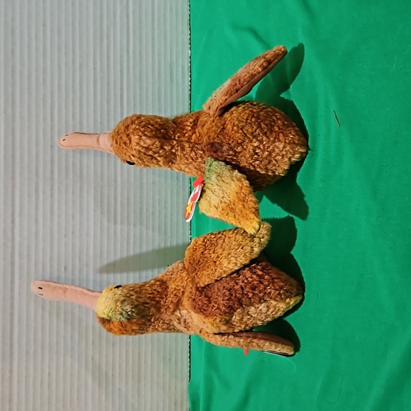 Beak - Set of Two - Ty Beanie Babies - Picture 3 of 9